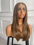 Styled Brown Straight Hair Lace Wig Synthetic Wig